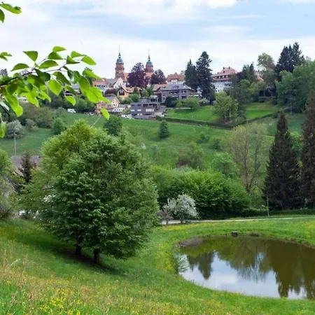 Lovely House In * Freudenstadt
