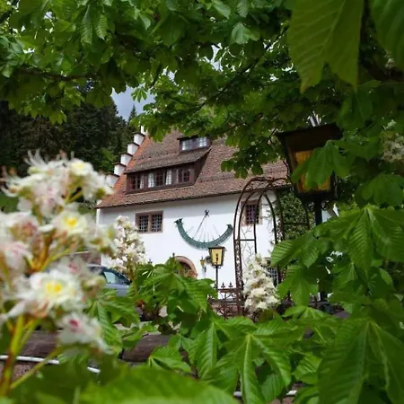 Lovely House In Freudenstadt