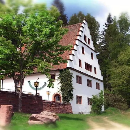 Villa Lovely House In Freudenstadt